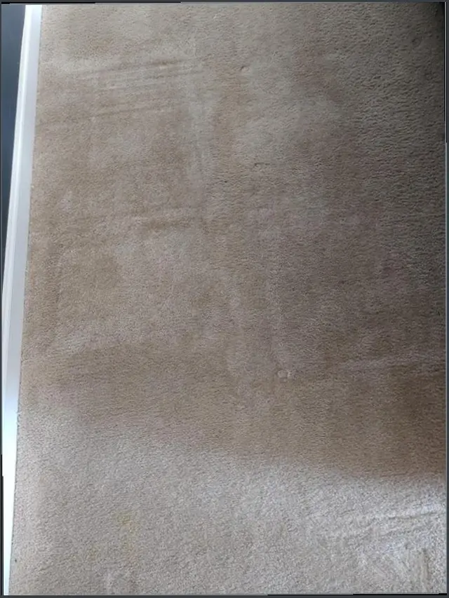 Morning Light Carpet Cleaning — customer photo 7