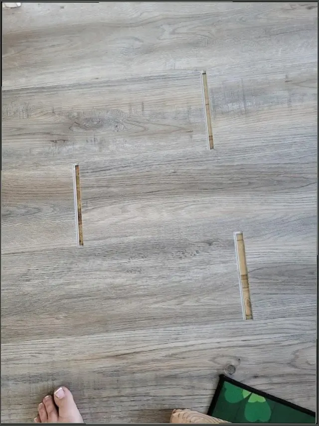 Morning Light Carpet Cleaning — customer photo 6