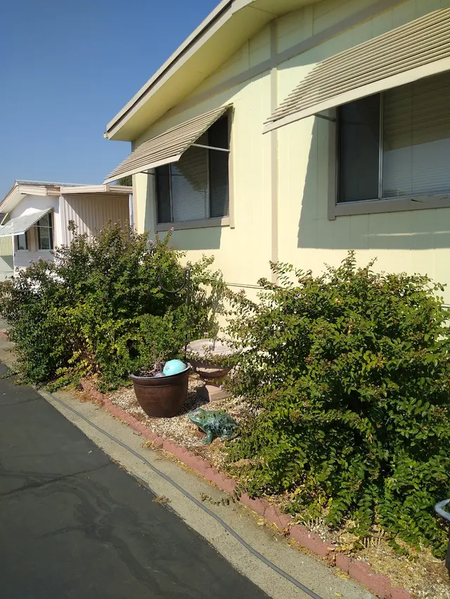 Adam Avalos - Yuba City Real Estate Agent — customer photo 6