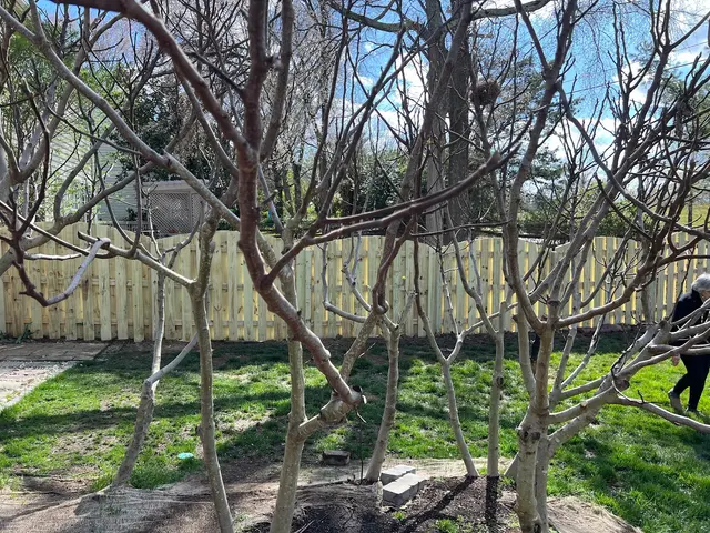 QC Fence Contractors — customer photo 11
