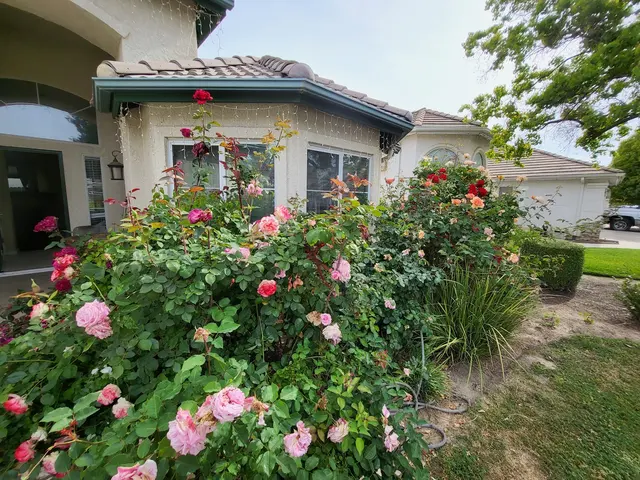 WIN Home Inspection — photo from the business 4