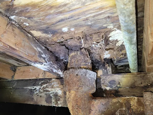 Top Notch Home Inspections- Fresno CA — photo from the business 6