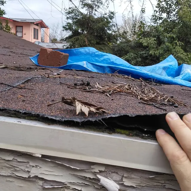 Real Time Home Inspections — photo from the business 7