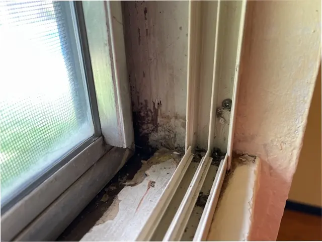 EC Home Inspections — photo from the business 9