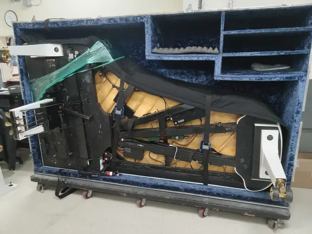 Affordable Piano Movers — photo from the business 11