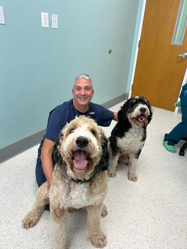Willow Animal Hospital — customer photo 7