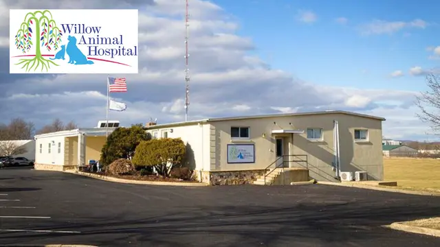 Willow Animal Hospital — photo from the business 1