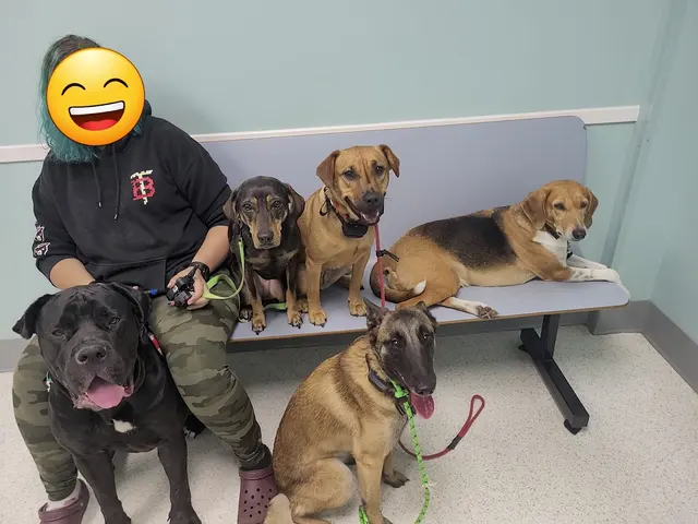 Willow Animal Hospital — customer photo 10