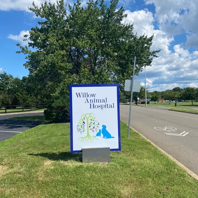 Willow Animal Hospital — photo from the business 4