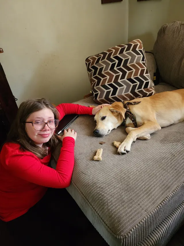 Willow Animal Hospital — customer photo 12