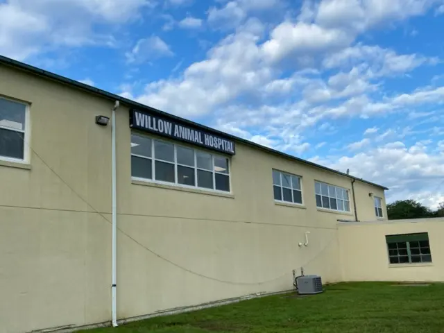 Willow Animal Hospital — photo from the business 6