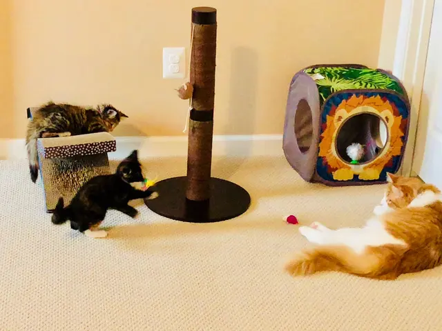 Blue Ridge Animal Hospital — customer photo 8