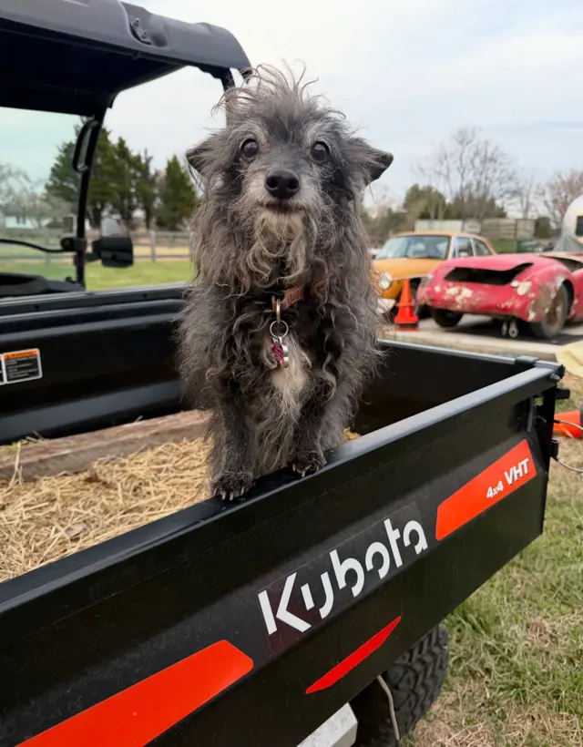 Blue Ridge Animal Hospital — customer photo 9