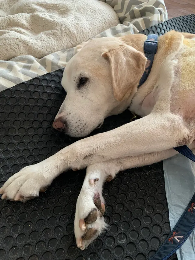Animal Care Center — customer photo 6