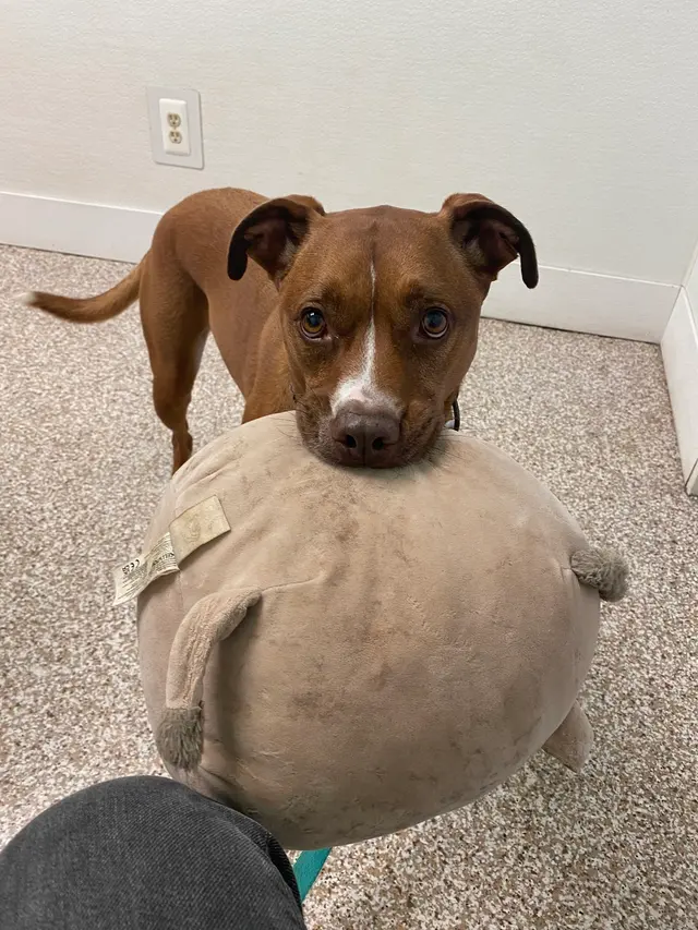 Animal Care Center — customer photo 12