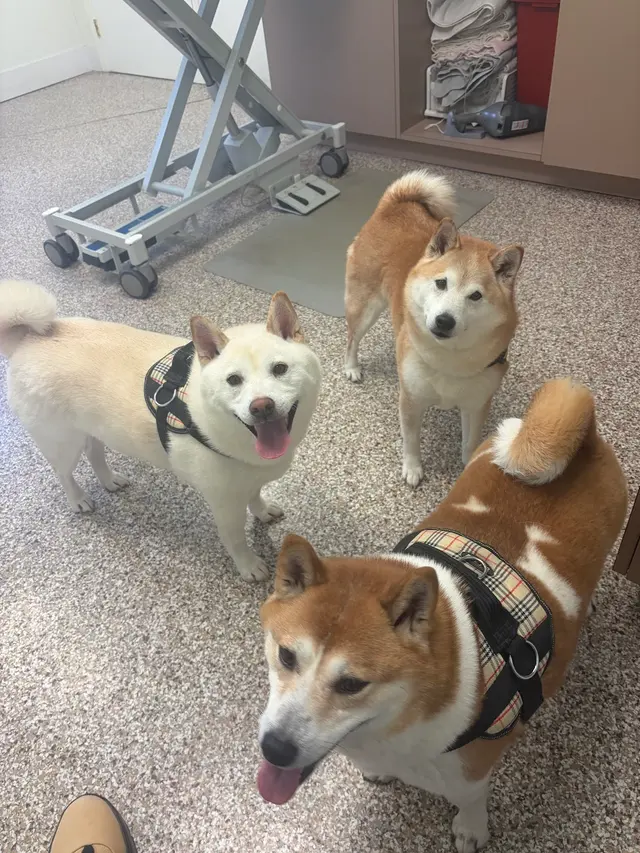 Animal Care Center — customer photo 5