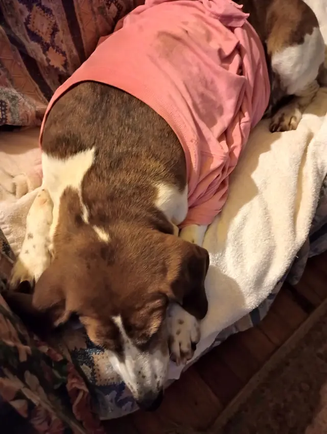 Animal Care Center — customer photo 9