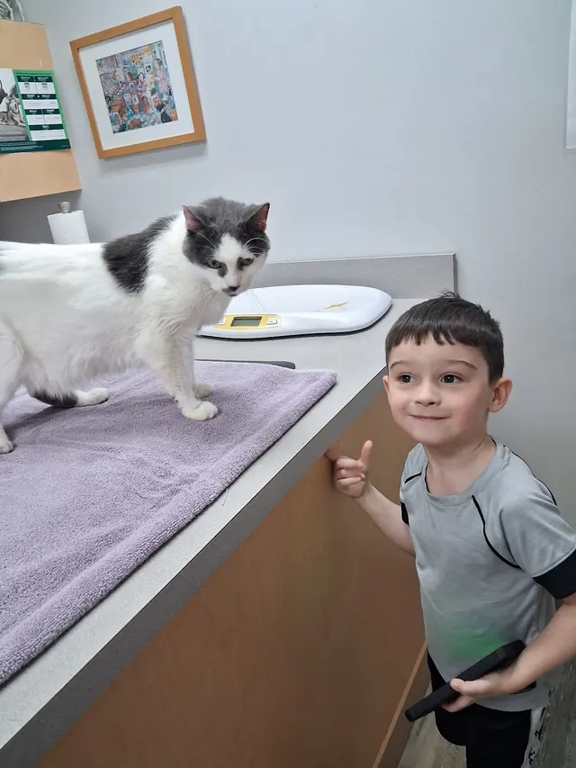 Piedmont Pets Veterinary Care — customer photo 12