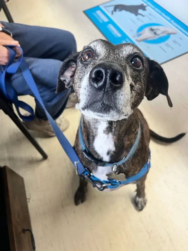 Prince William Animal Hospital — photo from the business 6