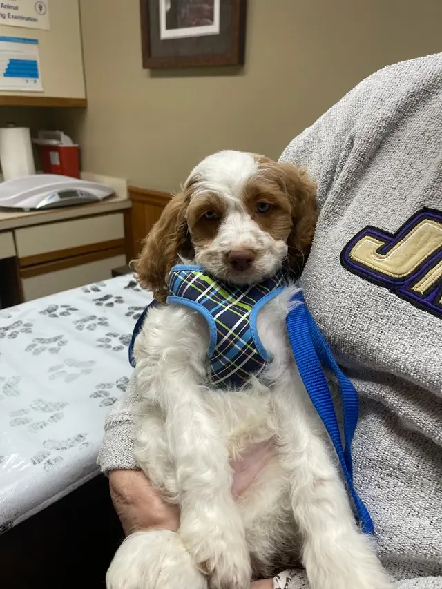 Prince William Animal Hospital — photo from the business 9