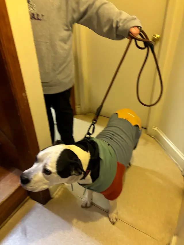 Prince William Animal Hospital — photo from the business 10