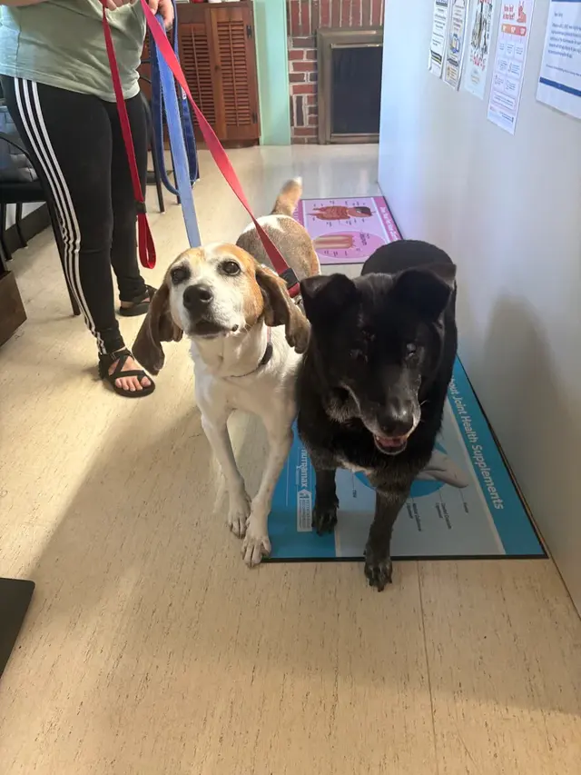 Prince William Animal Hospital — photo from the business 8