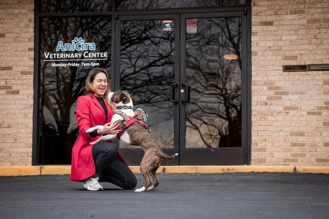 Anicira Veterinary Center — photo from the business 6