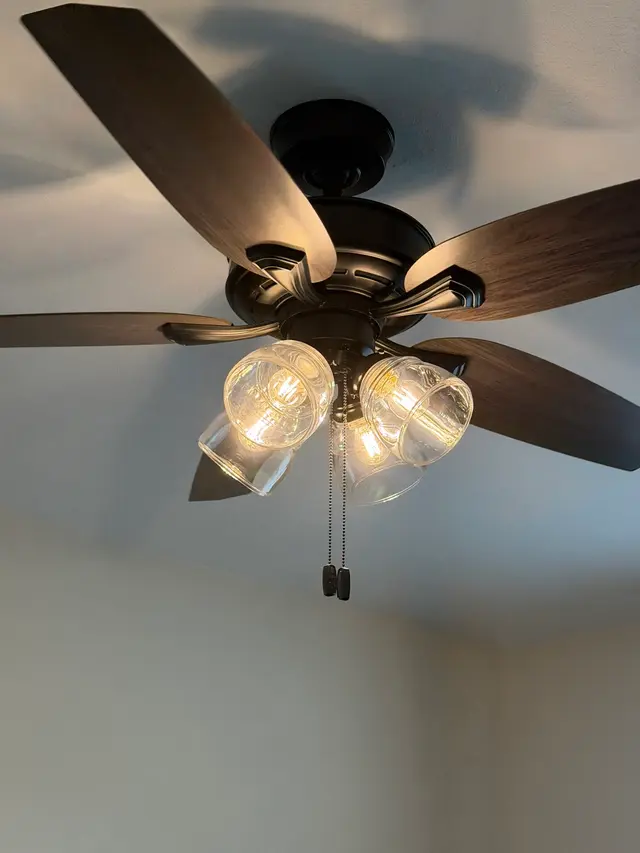 Mister Sparky — customer photo 3