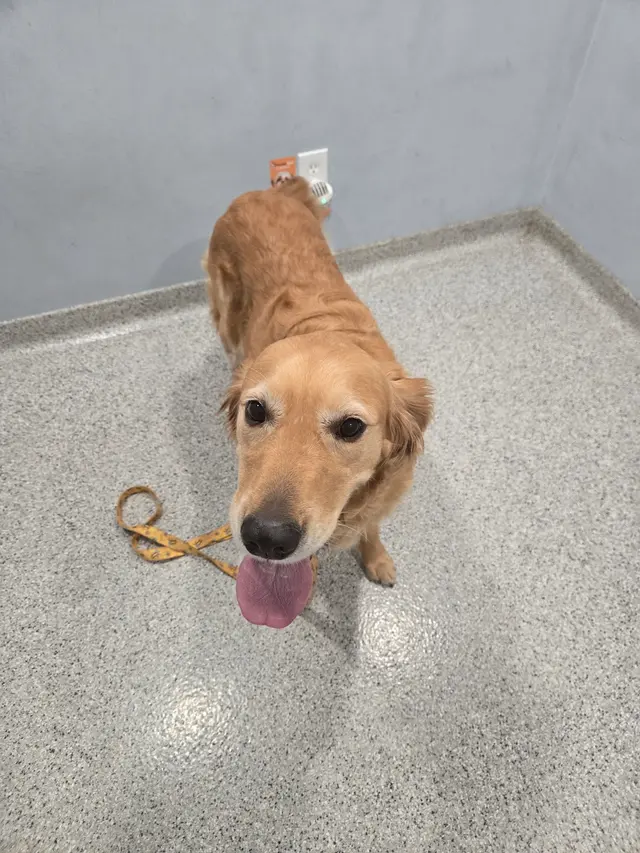 Paradocs Animal Hospital — customer photo 5