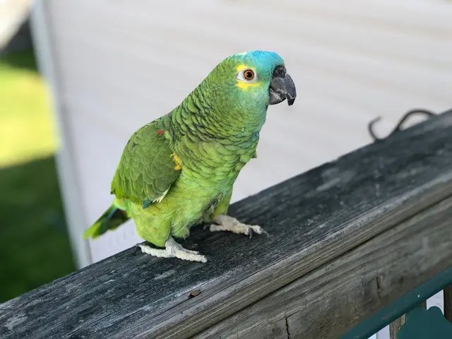 Paradocs Animal Hospital — customer photo 6