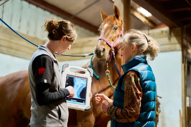 Paradocs Animal Hospital — photo from the business 1