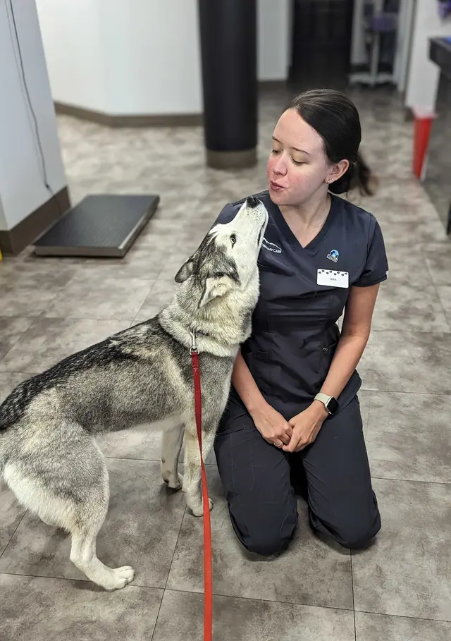 Summit Veterinary Care — photo from the business 12