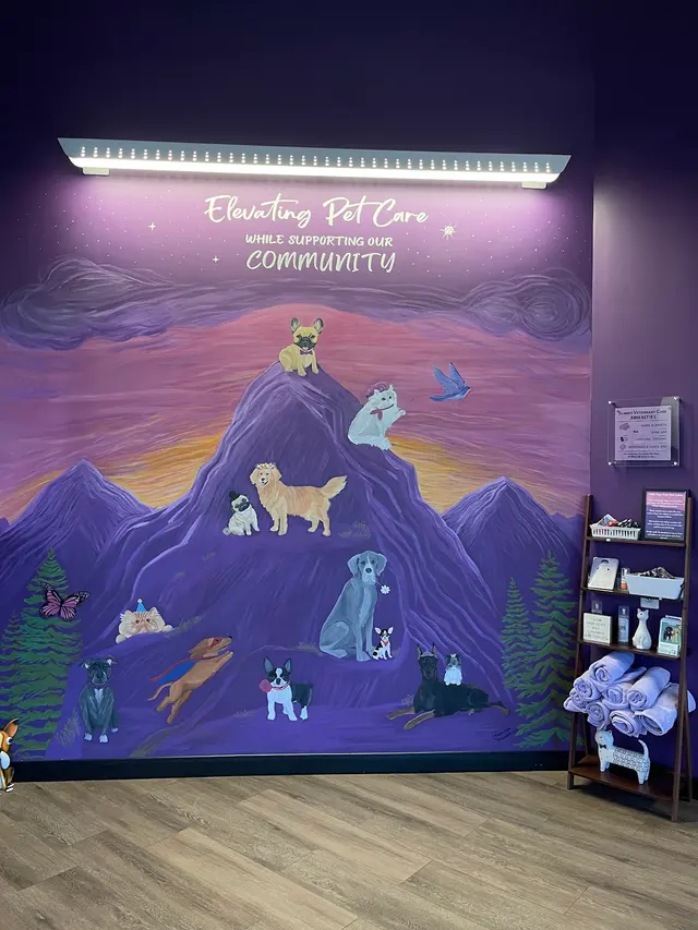 Summit Veterinary Care — photo from the business 11