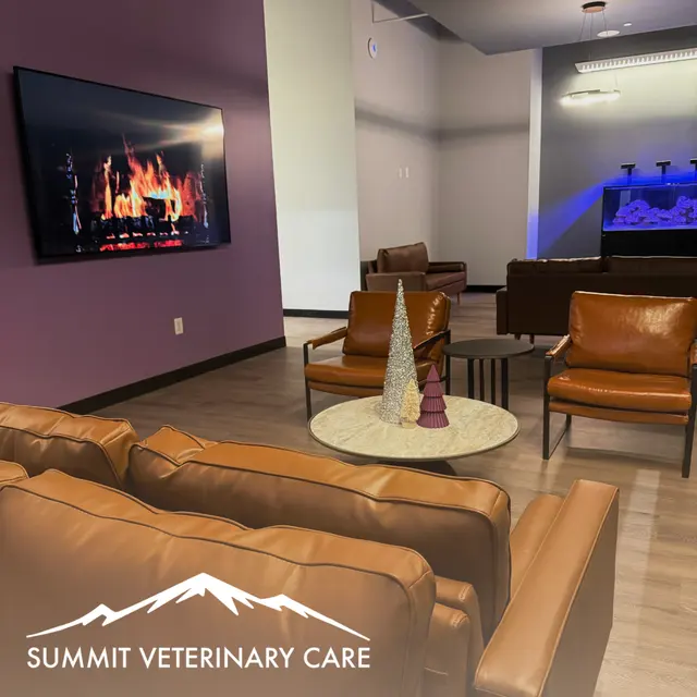 Summit Veterinary Care — photo from the business 8