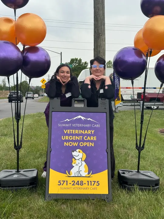Summit Veterinary Care — photo from the business 3