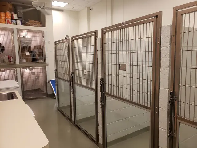 Family Veterinary Hospital of Stone Ridge — photo from the business 5