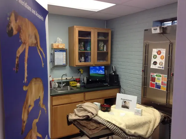 Family Veterinary Hospital of Stone Ridge — photo from the business 11