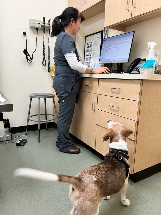 Family Veterinary Hospital of Stone Ridge — customer photo 6