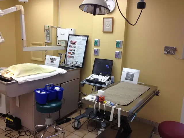 Family Veterinary Hospital of Stone Ridge — photo from the business 1