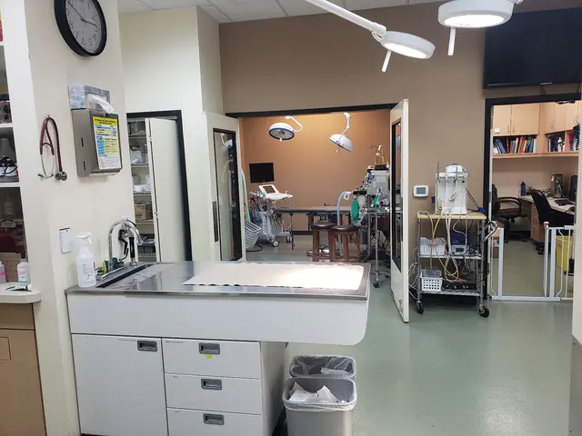 Family Veterinary Hospital of Stone Ridge — photo from the business 10