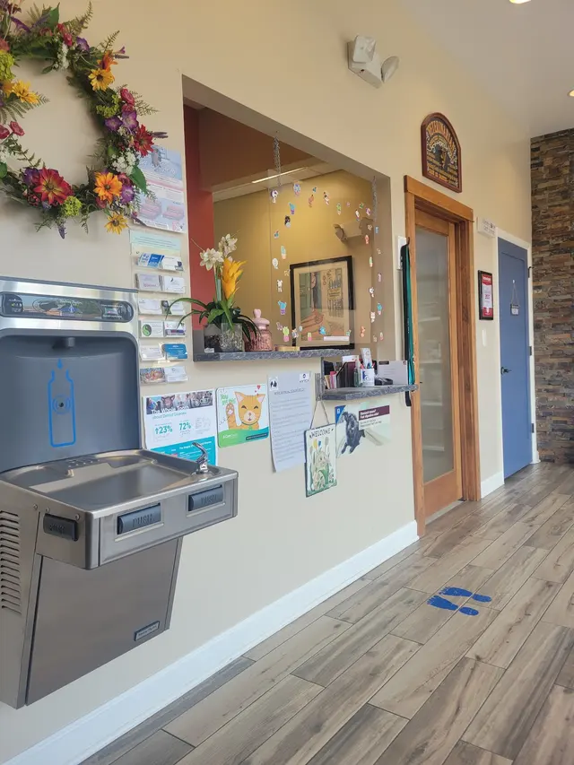 Customer photo of work by Old Towne Veterinary Clinic, from Michael Nazario's review