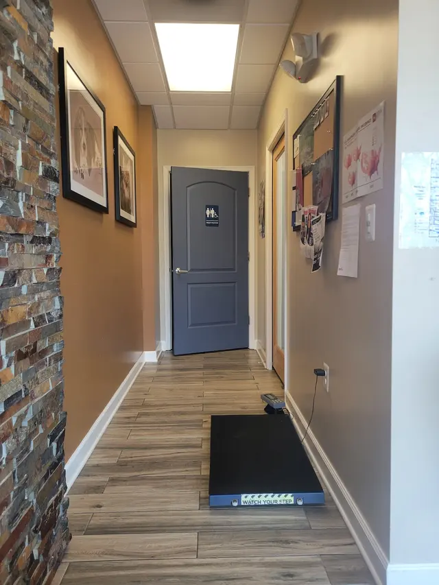 Customer photo of work by Old Towne Veterinary Clinic, from Michael Nazario's review