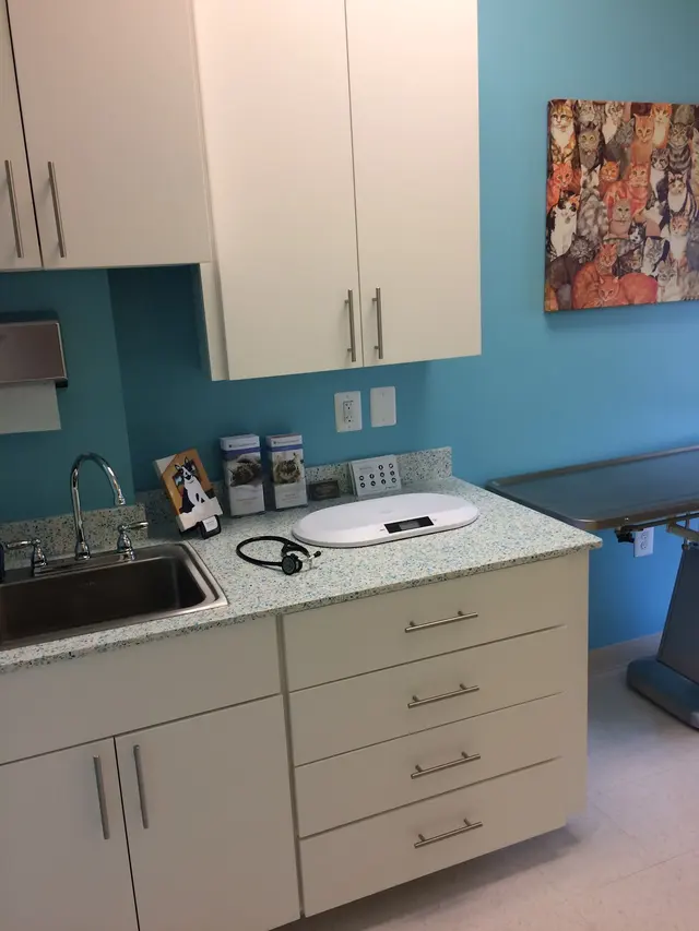 Old Towne Veterinary Clinic — photo from the business 12
