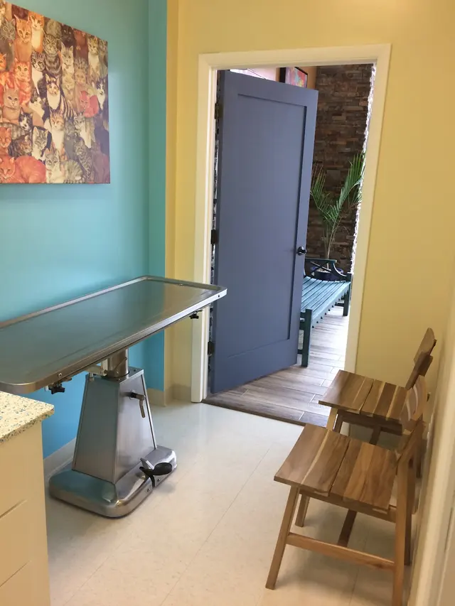 Old Towne Veterinary Clinic — photo from the business 11