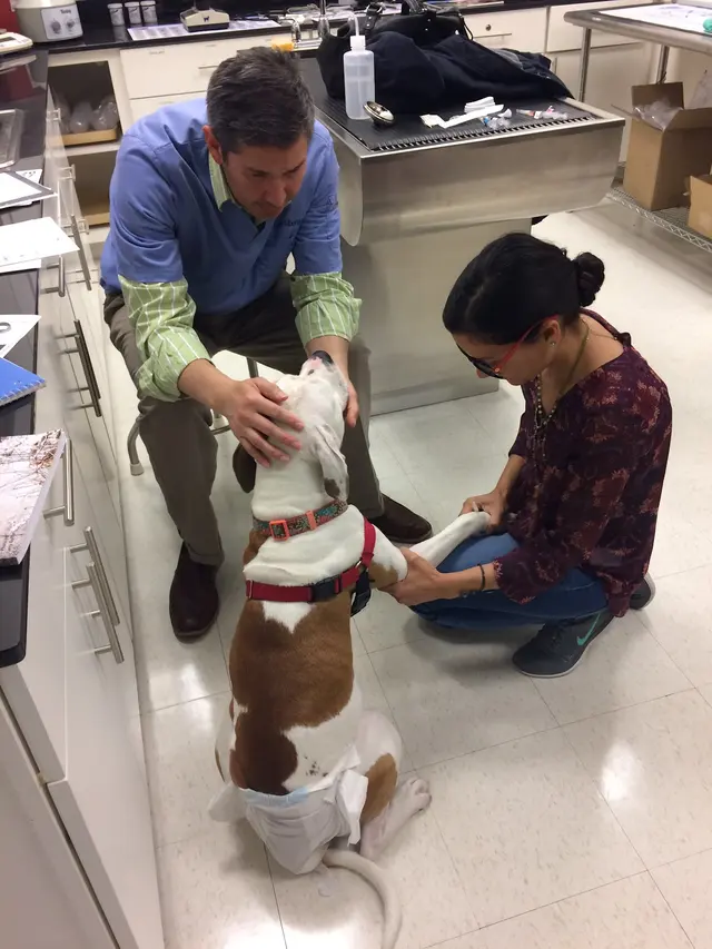 Old Towne Veterinary Clinic — photo from the business 7