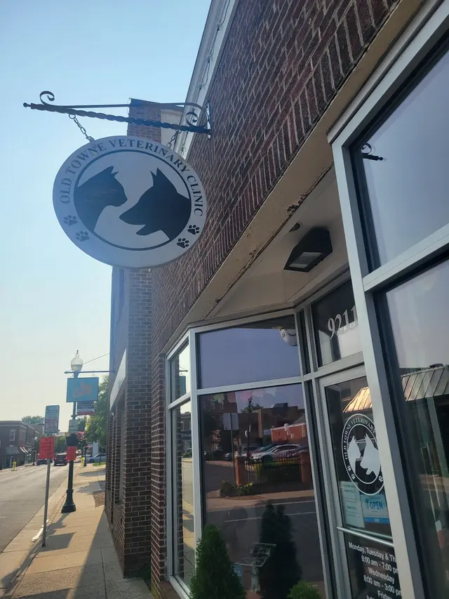 Customer photo of work by Old Towne Veterinary Clinic, from Michael Nazario's review