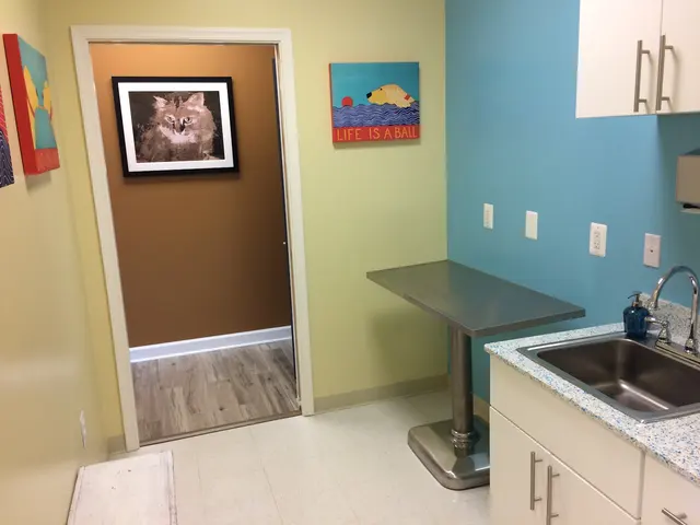 Old Towne Veterinary Clinic — photo from the business 2
