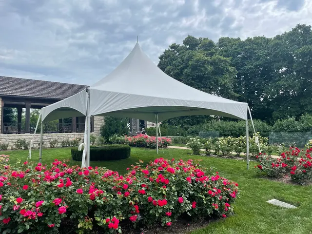 KC Party Rentals — photo from the business 3