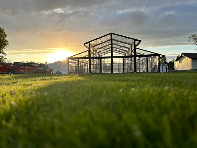 KC Party Rentals — photo from the business 8