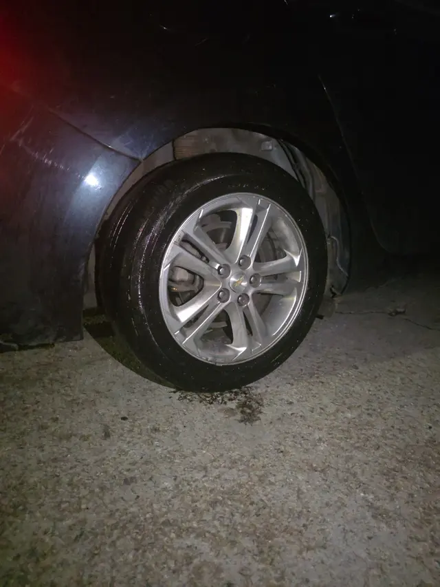 Customer photo from HOTA's review